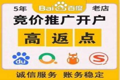 网络营销实战：案例分享竞价推广的秘诀